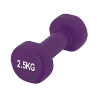 Гантель вінілова PowerPlay 4125 Achilles Violet, 2.5 кг