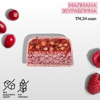 Батончик SpaceFood Space Bite Protein Bar, 45 грам, малина-журавлина