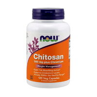 NOW Chitosan Plus 500 mg, 120 капсул