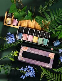 Ефірна олія Kinscoter Essential Oil Set 6 bottles, 6*10 мл