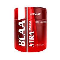 ActivLab BCAA Xtra Instant, 500 грам