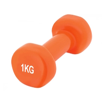 Гантель вінілова PowerPlay 4125 Achilles Orange, 1 кг